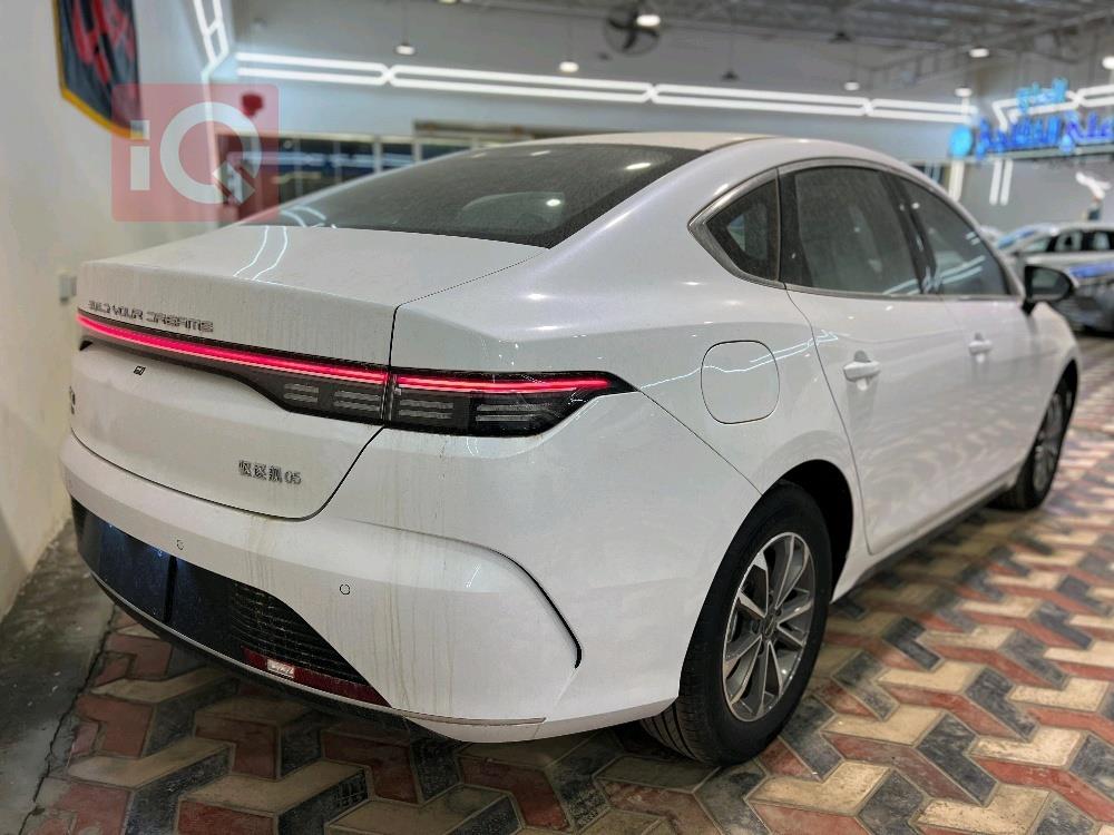 بي واي دي ديستروير 05